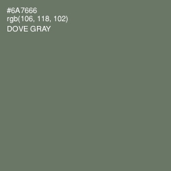 #6A7666 - Dove Gray Color Image